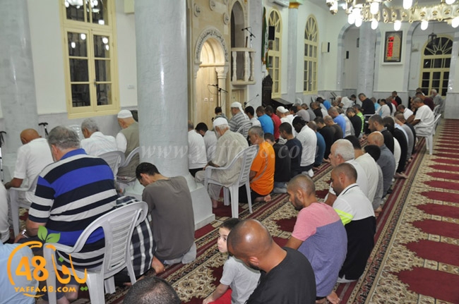 qader yaffa msajed (19).JPG